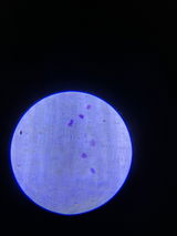 Dr. Deril Joseph review photo