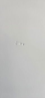 初代魚影 review photo