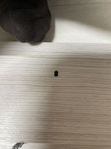 しろとみどり review photo