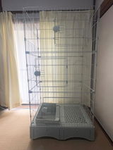 匿名 review photo