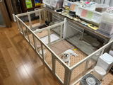 匿名 review photo