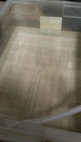 匿名 review photo