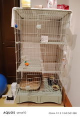 匿名 review photo