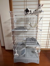 匿名 review photo