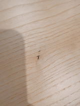 匿名 review photo