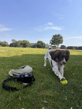 Jack Stocker review photo