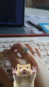 925 Sterling Silver Labradorite Boho Ring