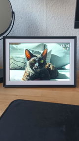 MsDee review photo