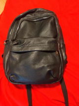 Harald V. review photo