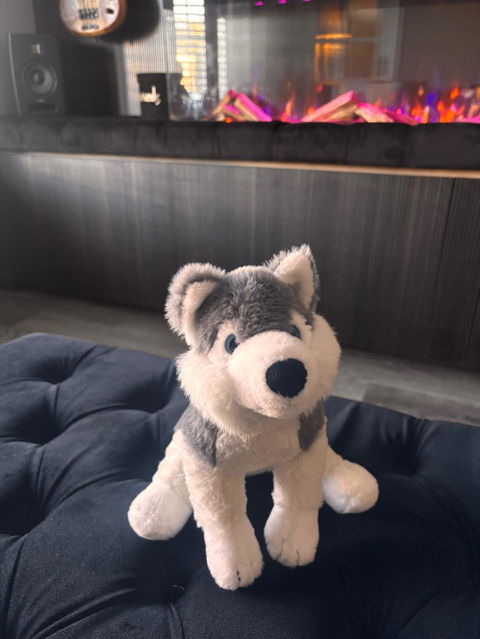 Plush Grey Husky - 22cm