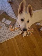 Naturligt Hundgodis Lamm Tuggrulle 15 cm