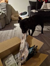 Monika Mortensen review photo