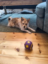 Gro Vidme review photo