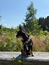 Ella review photo