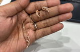 Nisha Verma review photo
