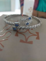 Raj Sanap review photo