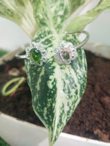 ankita sawle review photo