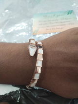 Sanjivni review photo
