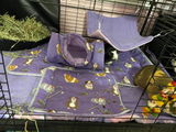 Allie review photo