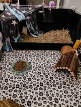 Etsy c. review photo