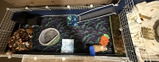 Etsy c. review photo