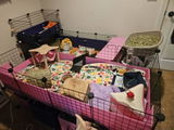 Etsy c. review photo