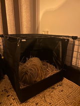 Milou V.d. review photo