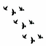 Valter review photo