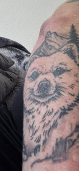 User picture