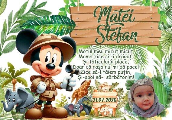 Mikey Mouse Safari • Tavita de Mot Baieti • Personalizata