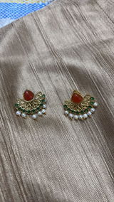 Payal Agarwal review photo
