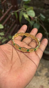 Anusha Reddy review photo