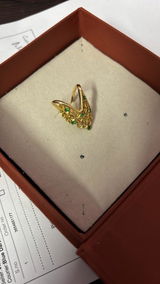 Vani Krishnan review photo