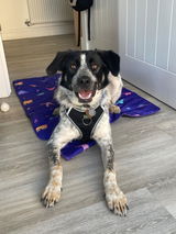 Jasmin review photo