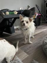 Tammy Dockins review photo