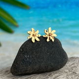 Jenny M review photo
