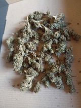 Kalus review photo