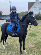 Darcie’s Pony Adventures review photo