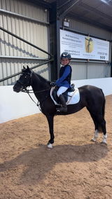 Darcie’s Pony Adventures review photo