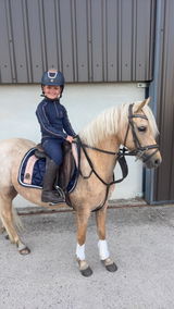darcie’s pony adventures review photo