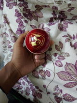 Sarthak review photo