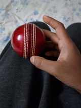 Sarthak review photo