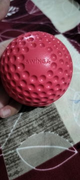 Swinga review photo