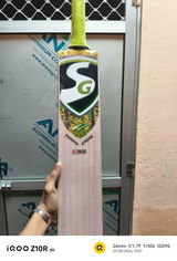 Shayan Shamsi review photo