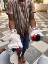 Rohit Mene review photo