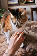 Katty T. review photo