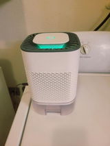 EveG review photo