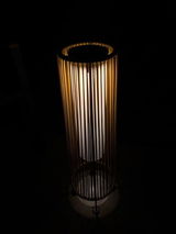 LilyR review photo