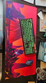 davyd willott review photo