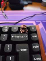 Rggs review photo